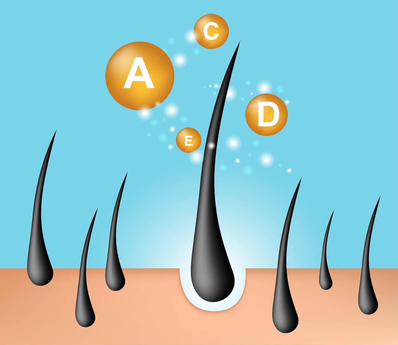 de nombreux aliments ralentissent la production de la DHT