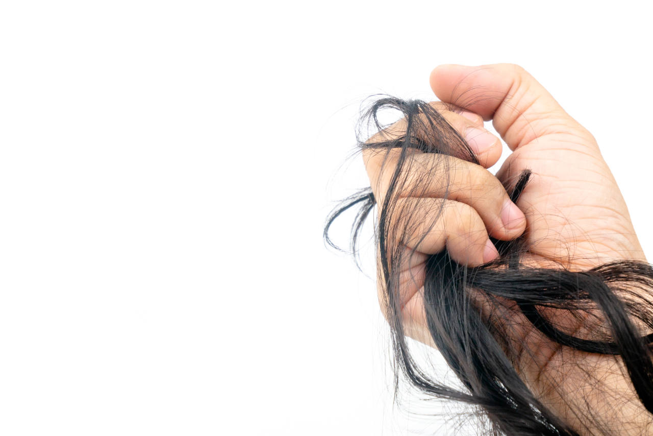 main tenant une mèche de cheveux pour réaliser un test calvitie de traction