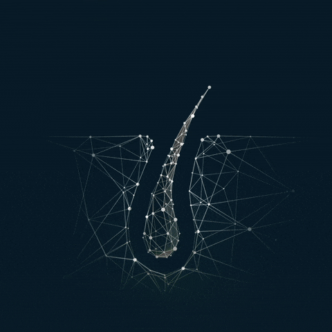 Illustration NEO FUE gif