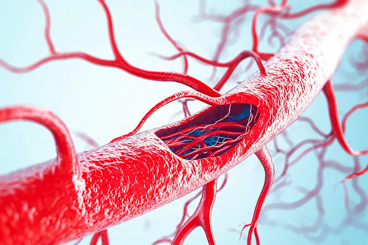 La microcirculation peut aider à garantir que les follicules pileux mieux approvisionnés en nutriments