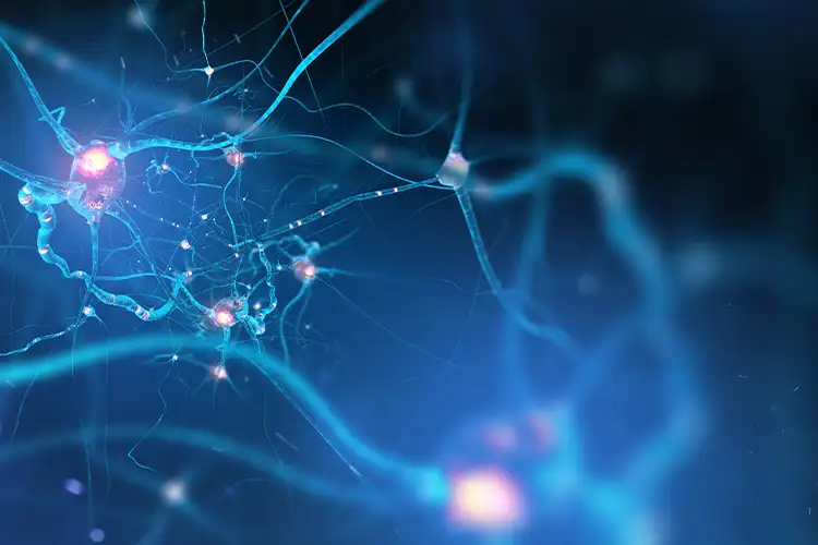 impulsions dans le cerveau stimuli visuels