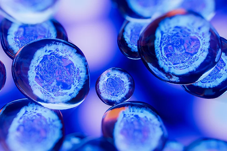 Illustration scientifique montrant la communication entre les cellules, représentant les échanges de signaux biologiques essentiels à la régénération et à la croissance cellulaire.