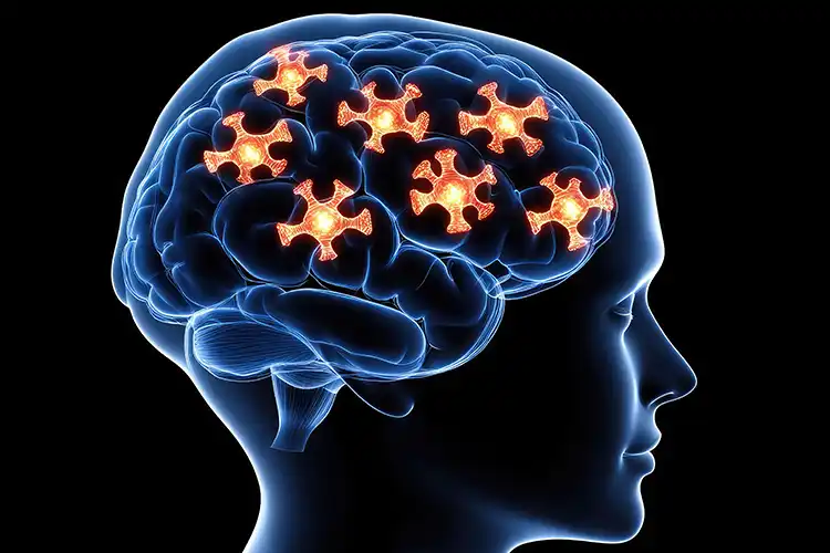 Illustration numérique d’un cerveau humain avec des zones actives mises en évidence.