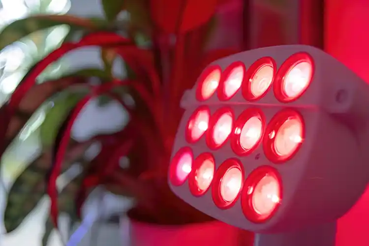 Image d’une lampe infrarouge utilisée pour une application de chaleur visant à stimuler et détendre les zones ciblées.